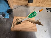 20250828_060612.jpg