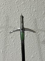 IMG_6005.jpeg