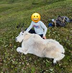IMG_1347.jpeg