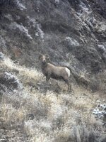 IMG_2805.jpg