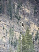 IMG_2784.jpg