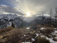 IMG_2455.jpg