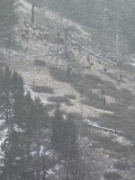 IMG_2467.jpg