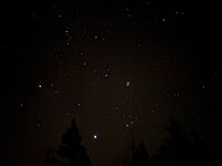 IMG_2571.jpg