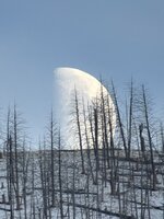 IMG_2675.jpg