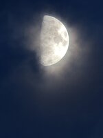 IMG_2687.jpg