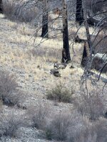 IMG_2776.jpg