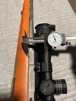 IMG_5187.jpeg