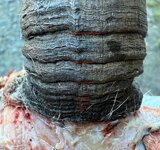 IMG_4928.jpeg