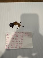 IMG_4644.jpeg