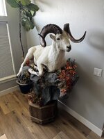 IMG_6167.jpeg