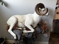IMG_6166.jpeg