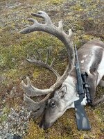 IMG_4856.jpeg
