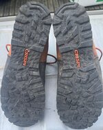 IMG_0208.jpeg
