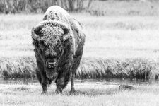 IMG_9134.jpeg