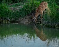 5-_N1A7284-25.jpg