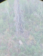 IMG_1676.jpeg