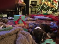 IMG_0916.jpeg