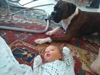 IMG_20190722_182815007.jpeg