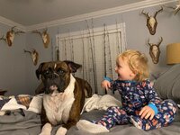 IMG_4383.jpeg