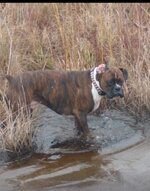 IMG_9218.jpeg
