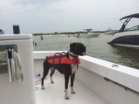 IMG_0058.jpeg