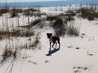 IMG_20180121_123509771.jpeg