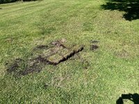 IMG_7401.jpeg