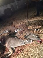 IMG_0652.jpeg