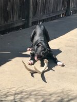 IMG_0933.jpeg