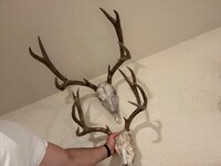 IMG_1664.jpeg