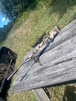 IMG_7137.jpeg