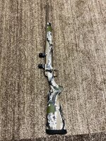 IMG_5847.jpeg