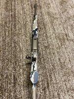 IMG_5850.jpeg