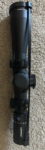 IMG_8508.jpeg
