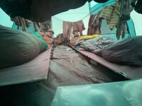 IMG_3055.jpeg IMG_3055.jpeg