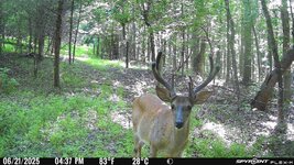 IMG_4343.jpeg