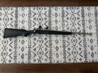 IMG_7737.jpeg