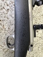 IMG_7732.jpeg
