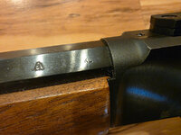 4570-4.jpg