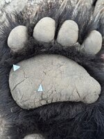 IMG_6716.jpeg