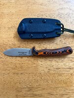 IMG_4565.jpeg