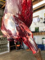 IMG_0457.jpeg
