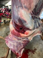 IMG_0190.jpeg
