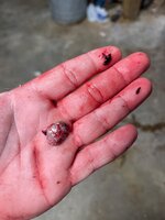 IMG_0191.jpeg