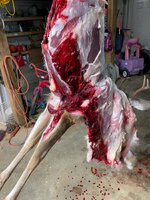 IMG_6891.jpeg