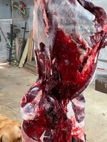 IMG_3434.jpeg