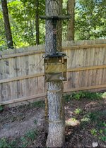 IMG_4548.jpeg