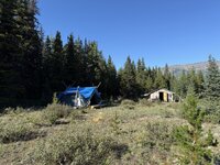 IMG_4835.jpeg IMG_4835.jpeg