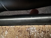 IMG_6529.jpeg